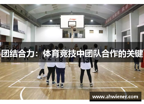 团结合力：体育竞技中团队合作的关键